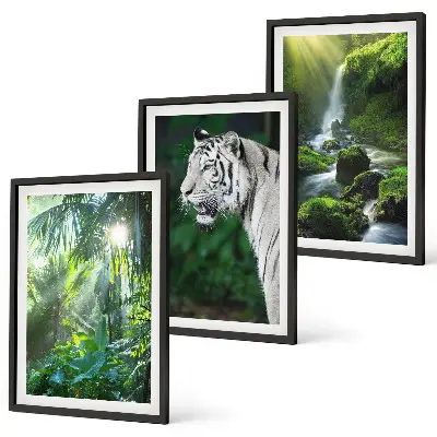 Set de 3 cuadros para salón diseño de cascada en la selva con tigre