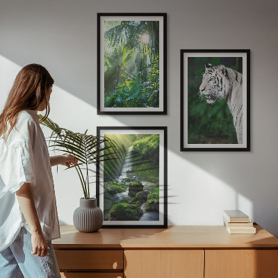 Set de 3 cuadros para salón Cascada del tigre de la jungla