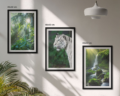 Set de 3 cuadros para salón Cascada del tigre de la jungla
