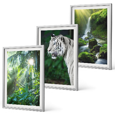 Set de 3 cuadros para salón Cascada del tigre de la jungla