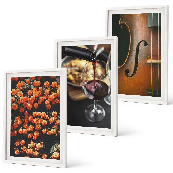 Juego de 3 cuadros Flores antiguas vino violín