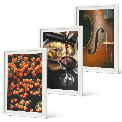 Set de 3 cuadros con diseño de flores antiguas violín vino