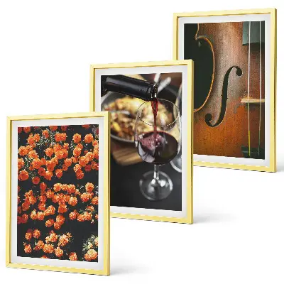 Set de 3 cuadros con diseño de flores antiguas violín vino