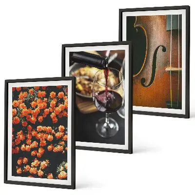 Set de 3 cuadros con diseño de flores antiguas violín vino