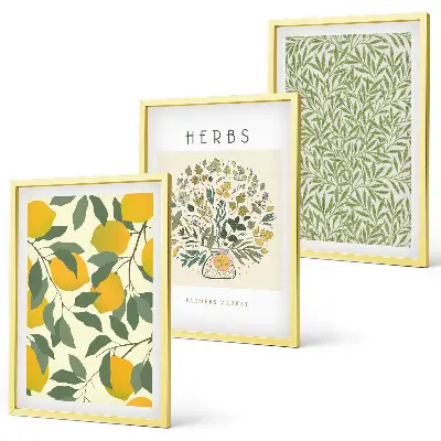 Set de 3 cuadros de limones con hierbas y hojas decoración para salón