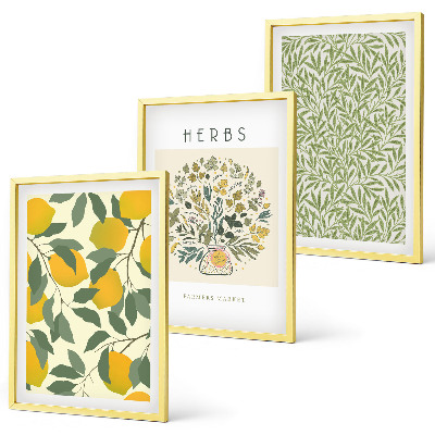 Set de 3 cuadros para salón Limones con hierbas y hojas