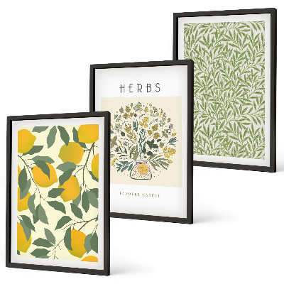 Set de 3 cuadros para salón Limones con hierbas y hojas