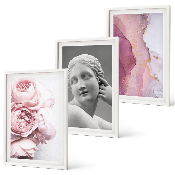 Set de 3 cuadros para salón Escultura abstracta de mujer con peonías