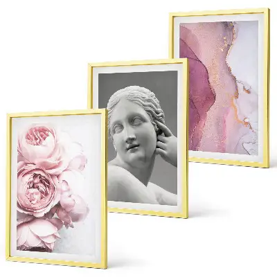 Set de 3 cuadros de escultura abstracta de mujer con peonías decoración para salón