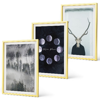 Juego de 3 cuadros Paisaje forestal, niebla, luna, cráneo de ciervo