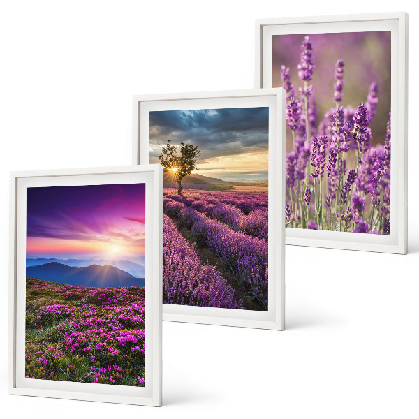 Juego de 3 cuadros Atardecer en los campos de lavanda