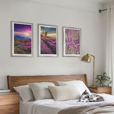 Juego de 3 cuadros Atardecer en los campos de lavanda