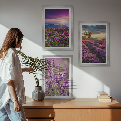 Juego de 3 cuadros Atardecer en los campos de lavanda