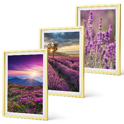 Juego de 3 cuadros Atardecer en los campos de lavanda