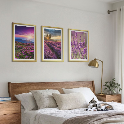 Juego de 3 cuadros Atardecer en los campos de lavanda