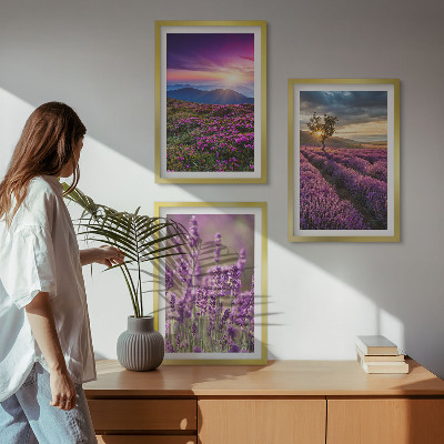 Juego de 3 cuadros Atardecer en los campos de lavanda
