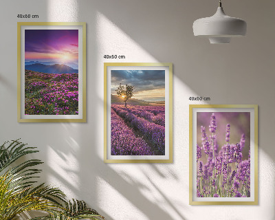Juego de 3 cuadros Atardecer en los campos de lavanda
