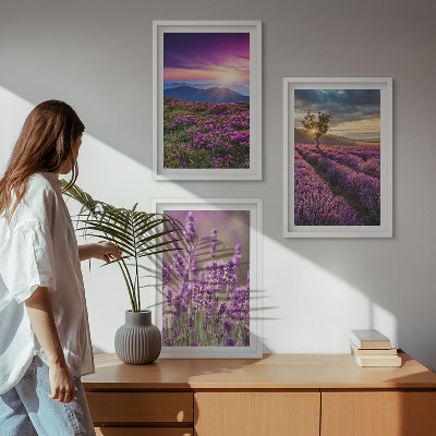Juego de 3 cuadros Atardecer en los campos de lavanda