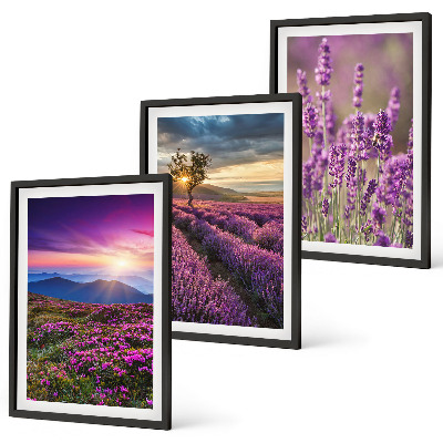 Juego de 3 cuadros Atardecer en los campos de lavanda