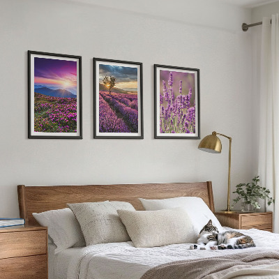 Juego de 3 cuadros Atardecer en los campos de lavanda