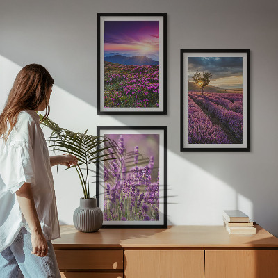 Juego de 3 cuadros Atardecer en los campos de lavanda