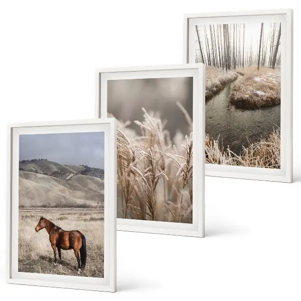 Juego de 3 cuadros paisaje de caballos en el arroyo entre hierba