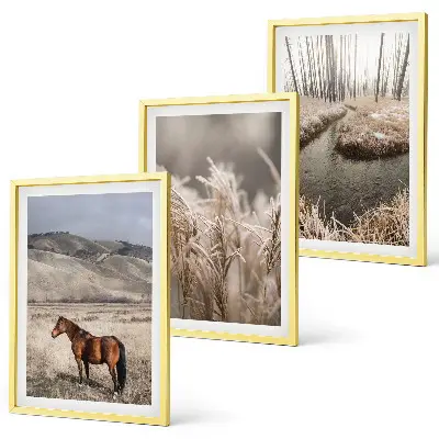 Juego de 3 cuadros paisaje de caballos en el arroyo entre hierba