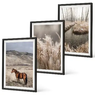Juego de 3 cuadros paisaje de caballos en el arroyo entre hierba