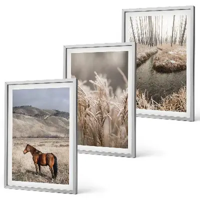 Juego de 3 cuadros paisaje de caballos en el arroyo entre hierba