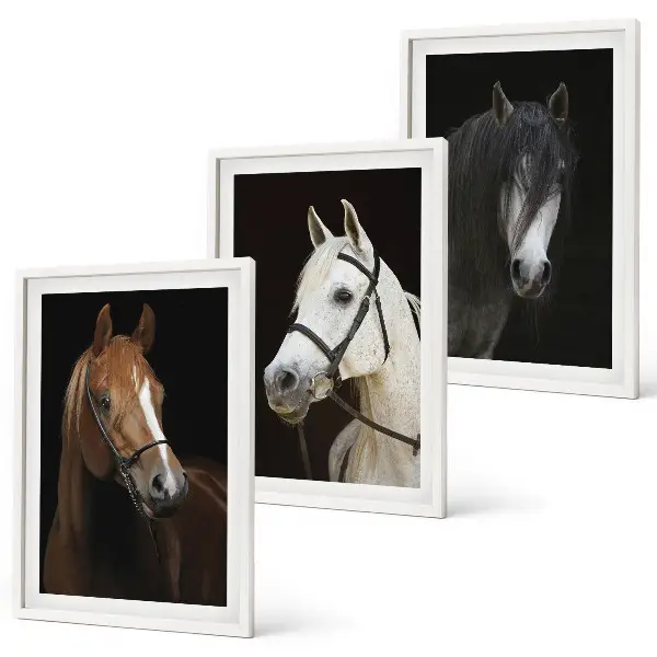 Set de 3 cuadros para salón con retratos de caballos en tonos de piel