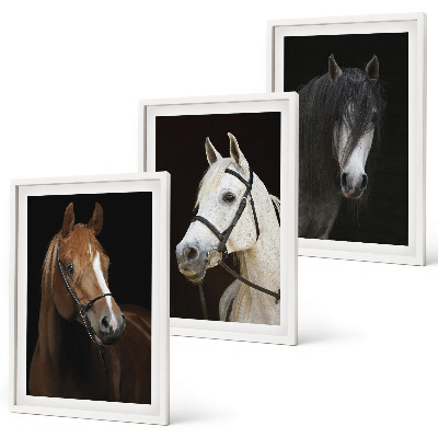 Set de 3 cuadros para salón Retratos de caballos en tonos de piel