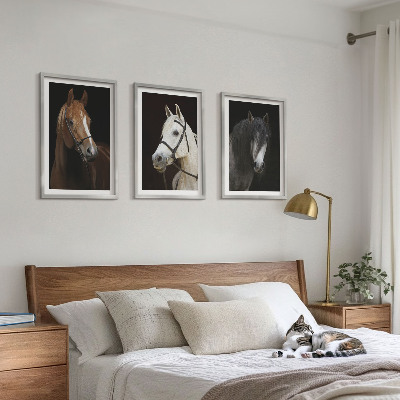 Set de 3 cuadros para salón Retratos de caballos en tonos de piel