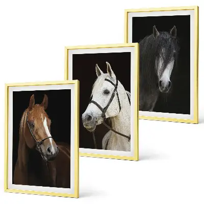 Set de 3 cuadros para salón con retratos de caballos en tonos de piel
