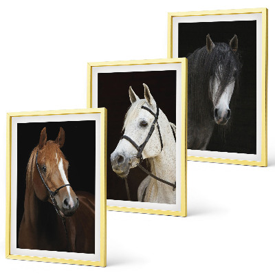 Set de 3 cuadros para salón Retratos de caballos en tonos de piel