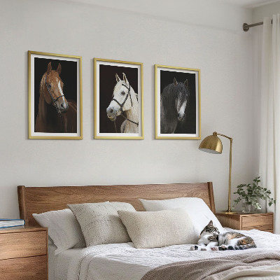 Set de 3 cuadros para salón Retratos de caballos en tonos de piel
