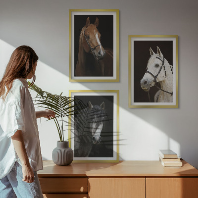 Set de 3 cuadros para salón Retratos de caballos en tonos de piel