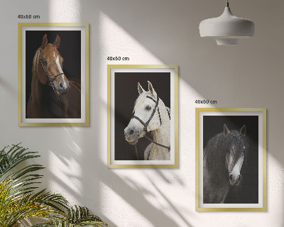 Set de 3 cuadros para salón Retratos de caballos en tonos de piel