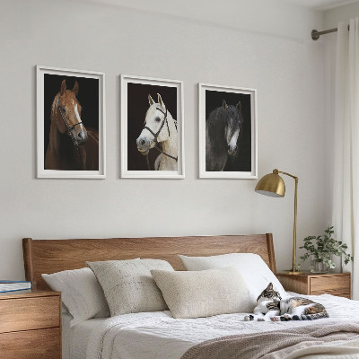 Set de 3 cuadros para salón Retratos de caballos en tonos de piel