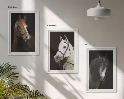 Set de 3 cuadros para salón con retratos de caballos en tonos de piel