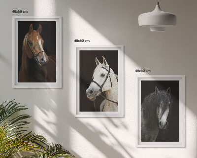 Set de 3 cuadros para salón Retratos de caballos en tonos de piel