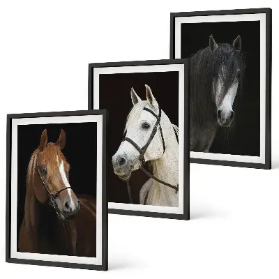 Set de 3 cuadros para salón con retratos de caballos en tonos de piel