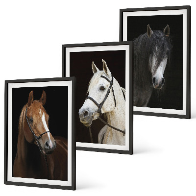 Set de 3 cuadros para salón Retratos de caballos en tonos de piel