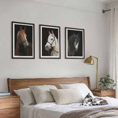 Set de 3 cuadros para salón Retratos de caballos en tonos de piel