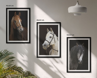 Set de 3 cuadros para salón Retratos de caballos en tonos de piel