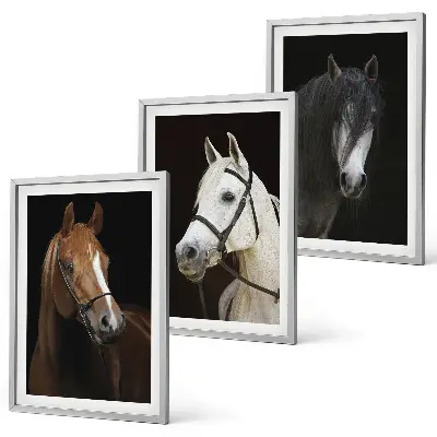 Set de 3 cuadros para salón con retratos de caballos en tonos de piel