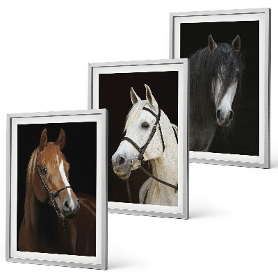 Set de 3 cuadros para salón Retratos de caballos en tonos de piel