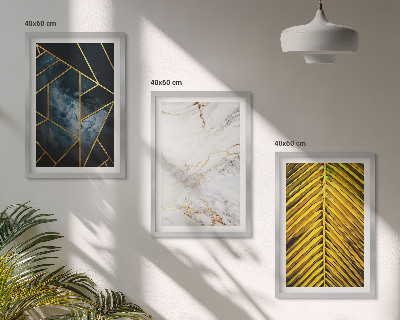 Set de 3 cuadros para salón Patrones geométricos y vegetación