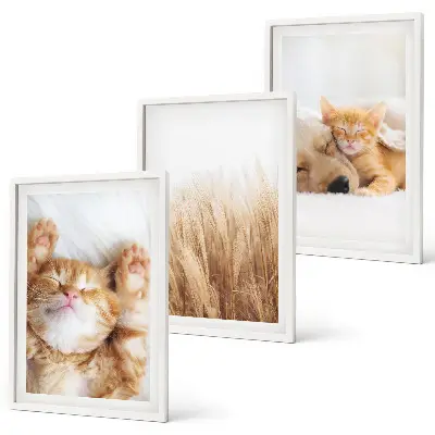 Set de 3 cuadros decorativos para salón con diseño boho de gatos y perros
