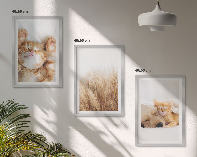Set de 3 cuadros para salón Animales lindos gatos perros boho