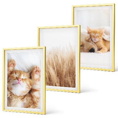 Set de 3 cuadros para salón Animales lindos gatos perros boho